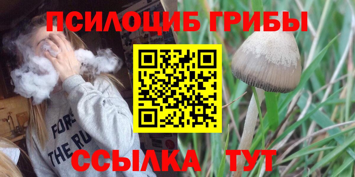 как найти закладки  Галлюциногенные грибы Magic Shrooms  Вход с VPN  Люберцы  Псилоцибиновые грибы Cubensis 