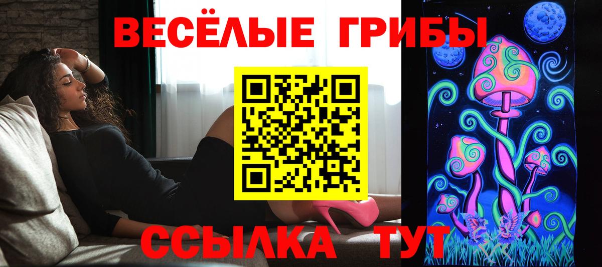 Псилоцибиновые грибы GOLDEN TEACHER Люберцы